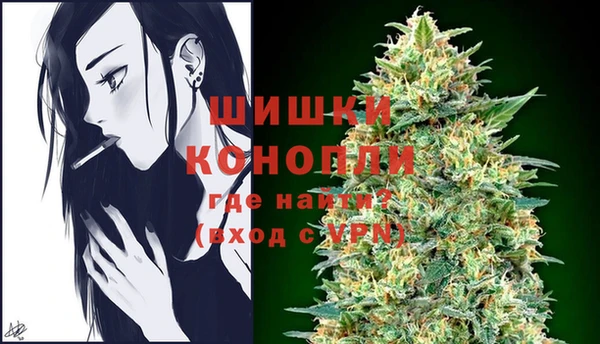 индика Алексеевка
