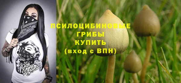 гашик Няндома