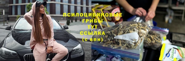 apvp Алзамай