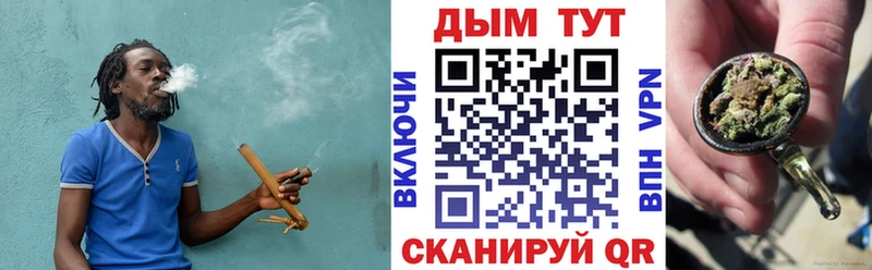 kraken как зайти  что такое наркотик  Щигры  Бошки марихуана гибрид 